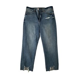 Express Mom Jeans